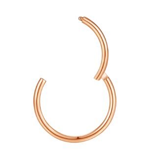 ORANGELOVE Hypoallergenic Nose Rings 20G 18G 16G 14G 12G 10G 8G 316l Surgical Steel Septum Jewelry Hinged Segment Ring Body Piercing Nose Hoop Lip Rings Nose Helix Cartilage...