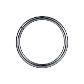ORANGELOVE Hypoallergenic Nose Rings 20G 18G 16G 14G 12G 10G 8G 316l Surgical Steel Septum Jewelry Hinged Segment Ring Body Piercing Nose Hoop Lip Rings Nose Helix Cartilage...