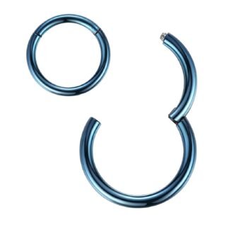 ORANGELOVE Hypoallergenic Nose Rings 20G 18G 16G 14G 12G 10G 8G 316l Surgical Steel Septum Jewelry Hinged Segment Ring Body Piercing Nose Hoop Lip Rings Nose Helix Cartilage...