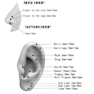 ORANGELOVE Hypoallergenic Nose Rings 20G 18G 16G 14G 12G 10G 8G 316l Surgical Steel Septum Jewelry Hinged Segment Ring Body Piercing Nose Hoop Lip Rings Nose Helix Cartilage...