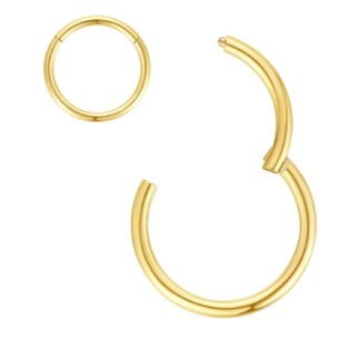 ORANGELOVE Hypoallergenic Nose Rings 20G 18G 16G 14G 12G 10G 8G 316l Surgical Steel Septum Jewelry Hinged Segment Ring Body Piercing Nose Hoop Lip Rings Nose Helix Cartilage...