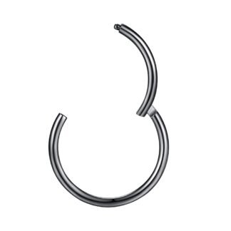 ORANGELOVE Hypoallergenic Nose Rings 20G 18G 16G 14G 12G 10G 8G 316l Surgical Steel Septum Jewelry Hinged Segment Ring Body Piercing Nose Hoop Lip Rings Nose Helix Cartilage...
