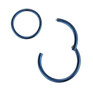 ORANGELOVE Hypoallergenic Nose Rings 20G 18G 16G 14G 12G 10G 8G 316l Surgical Steel Septum Jewelry Hinged Segment Ring Body Piercing Nose Hoop Lip Rings Nose Helix Cartilage...