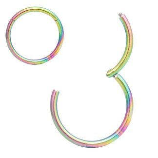 ORANGELOVE Hypoallergenic Nose Rings 20G 18G 16G 14G 12G 10G 8G 316l Surgical Steel Septum Jewelry Hinged Segment Ring Body Piercing Nose Hoop Lip Rings Nose Helix Cartilage...