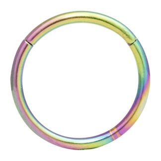 ORANGELOVE Hypoallergenic Nose Rings 20G 18G 16G 14G 12G 10G 8G 316l Surgical Steel Septum Jewelry Hinged Segment Ring Body Piercing Nose Hoop Lip Rings Nose Helix Cartilage...