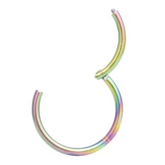 ORANGELOVE Hypoallergenic Nose Rings 20G 18G 16G 14G 12G 10G 8G 316l Surgical Steel Septum Jewelry Hinged Segment Ring Body Piercing Nose Hoop Lip Rings Nose Helix Cartilage...