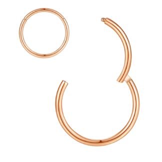ORANGELOVE Hypoallergenic Nose Rings 20G 18G 16G 14G 12G 10G 8G 316l Surgical Steel Septum Jewelry Hinged Segment Ring Body Piercing Nose Hoop Lip Rings Nose Helix Cartilage...