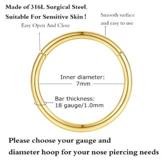 ORANGELOVE Hypoallergenic Nose Rings 20G 18G 16G 14G 12G 10G 8G 316l Surgical Steel Septum Jewelry Hinged Segment Ring Body Piercing Nose Hoop Lip Rings Nose Helix Cartilage...