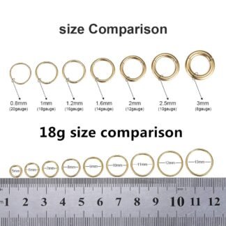 ORANGELOVE Hypoallergenic Nose Rings 20G 18G 16G 14G 12G 10G 8G 316l Surgical Steel Septum Jewelry Hinged Segment Ring Body Piercing Nose Hoop Lip Rings Nose Helix Cartilage...