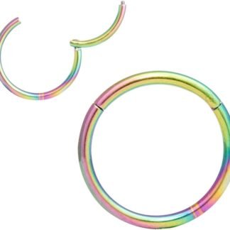 ORANGELOVE Hypoallergenic Nose Rings 20G 18G 16G 14G 12G 10G 8G 316l Surgical Steel Septum Jewelry Hinged Segment Ring Body Piercing Nose Hoop Lip Rings Nose Helix Cartilage...