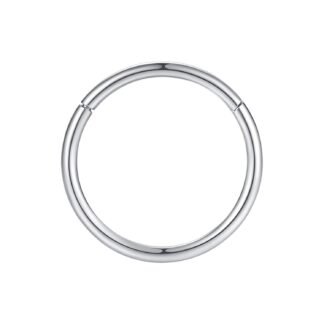 ORANGELOVE Hypoallergenic Nose Rings 20G 18G 16G 14G 12G 10G 8G 316l Surgical Steel Septum Jewelry Hinged Segment Ring Body Piercing Nose Hoop Lip Rings Nose Helix Cartilage...