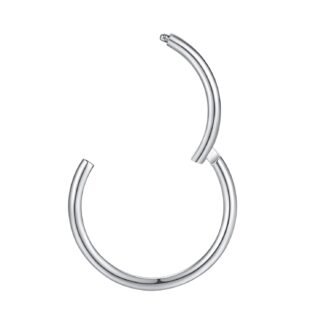 ORANGELOVE Hypoallergenic Nose Rings 20G 18G 16G 14G 12G 10G 8G 316l Surgical Steel Septum Jewelry Hinged Segment Ring Body Piercing Nose Hoop Lip Rings Nose Helix Cartilage...