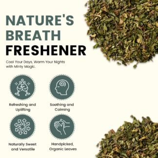 Organic Peppermint Leaves - Refreshing Minty Fresh, Cooking Teas & Herbal - 100% Organic - Caffeine-Free (3 Oz)