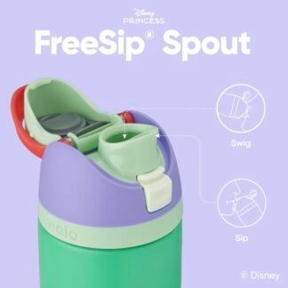 Owala Disney Princess FreeSip Insulated Stainless Steel Water Bottle with Straw for Sports and Travel, BPA-Free Sports Water Bottle, 24 oz, Ariel