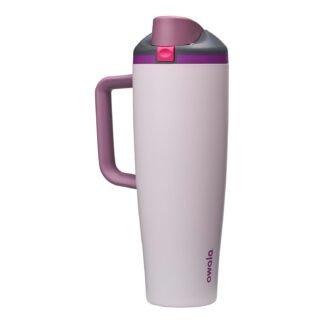 Owala FreeSip Tumbler Insulated Stainless Steel Water Bottle with Built-in Straw and Side Handle, For Travel, Work, School, and Sports, 40oz, BPA Free, Leak Proof, Dreamy Field