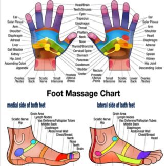 Reflexology Traditional Wooden Thai Massager Tools Full Body Foot Stick Hook Back Spa Face Gua Sha Therapy Trigger Point Massage Tool Relieve Shoulder Pain Wood (Set of Foot &...