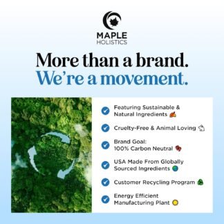 Rosemary and Biotin Shampoo for Thinning Hair - Vegan Volumizing Shampoo for Fine Hair with B Vitamins Argan Oil & Tea Tree Essential Oil - Paraben Silicone and Sulfate Free...