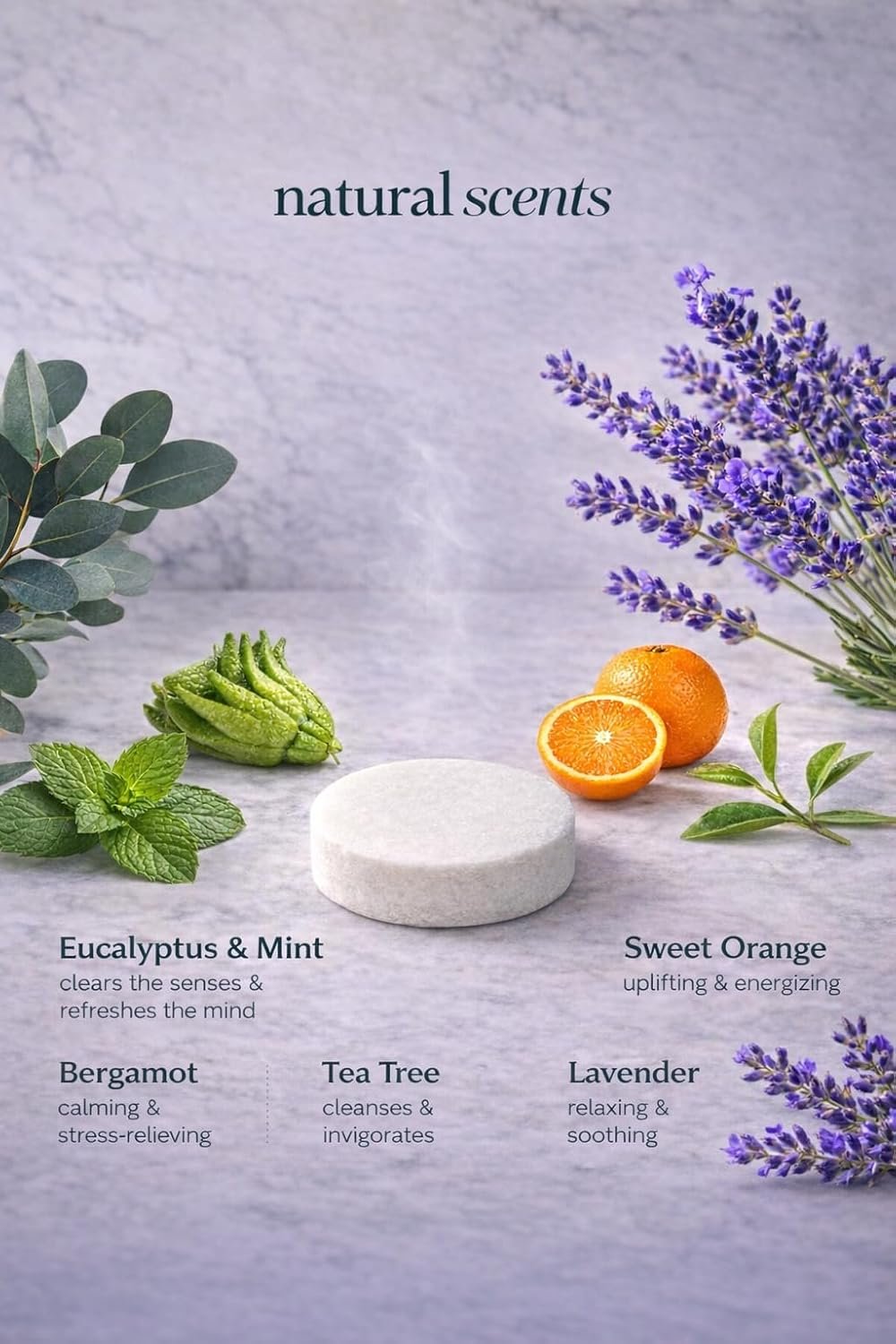 Sentea Shower Steamers Variety 15 Pack - Eucalyptus and Mint Sweet Orange Tea Tree Burgomont Lavender - lunas-mystic-emporium.com Sentea Shower Steamers Variety 15 Pack - Eucalyptus and Mint, Sweet Orange, Tea Tree, Burgomont, Lavender