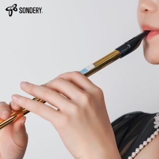Sondery Irish Tin Whistle Key of D Made from Brass A Bright Brass Wind Type Sound Penny Whistle