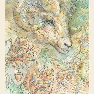 Spiritsong Tarot: 78-Card Tarot Deck with Animal Spirit Guides, Shamanic Symbolism, Hand-Drawn Visionary Artwork, Divine Guidance, 108-Page Guidebook