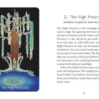 The Animystic Tarot: (Tarot Kit Box Set with 78 Cards and Guide Book)