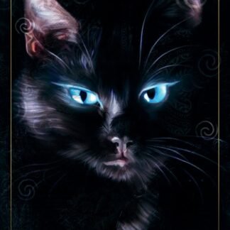 The Ukrainian Tarot: Flower of the Magic Fern (Tarot Kit Box Set with 78 Cards and Guide Book)