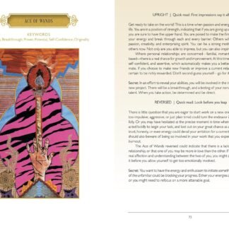 The Zerner/Farber Tarot: (Tarot Kit Box Set with 78 Cards and Guide Book)