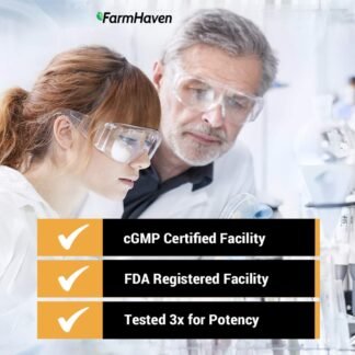 Turmeric Curcumin with BioPerine Black Pepper & 95% Curcuminoids, 1965mg, Maximum Absorption for Joint Support, Non-GMO Turmeric Capsules, Made in USA - 90 Veg Caps