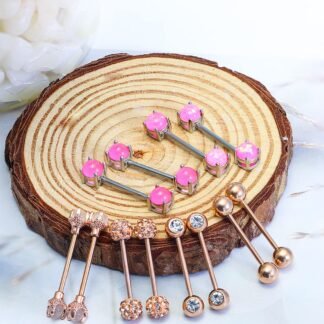 Vsnnsns 16G Nipple Piercing Jewelry - Surgical Steel Cubic Zirconia Dragon Claw Straight Barbell Nipple Rings in Silver & Rose Gold