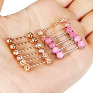 Vsnnsns 16G Nipple Piercing Jewelry - Surgical Steel Cubic Zirconia Dragon Claw Straight Barbell Nipple Rings in Silver & Rose Gold