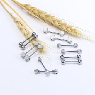 Vsnnsns 16G Nipple Piercing Jewelry - Surgical Steel Cubic Zirconia Dragon Claw Straight Barbell Nipple Rings in Silver & Rose Gold