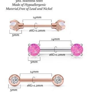 Vsnnsns 16G Nipple Piercing Jewelry - Surgical Steel Cubic Zirconia Dragon Claw Straight Barbell Nipple Rings in Silver & Rose Gold