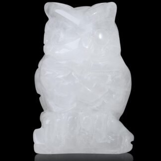 YATOJUZI Owl Decor Natural Healing Crystals Stones White Cute Harry Potter Decors Owls Statues Figurines Hand-Carved Howlite Gemstones Home Room Office Desk Decorations Reiki...