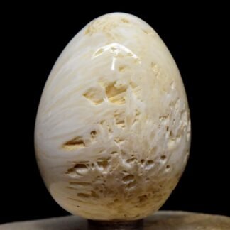 2.3" 130g White Orange Scolecite Sprays Carved into Egg Polished Natural Zeolite Gemstone Druzy Crystal Mineral UV Reactive Specimen - India + Stand