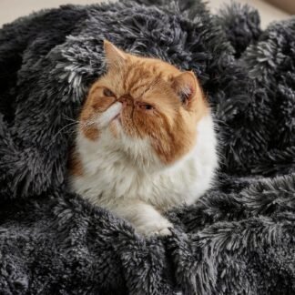 Bedsure GentleSoft Fluffy Black Blanket Cozy Gifts for Men, Black Home Decor Soft Fuzzy Plush Thick Warm Sherpa Fleece Faux Fur Throw Blanket for Couch Bed, Living Room College...