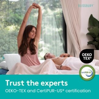 BLISSBURY Stomach Sleeping Pillow - Thin Memory Foam Pillow for Stomach Sleepers | Ultra Thin Pillow for Sleeping | Flat Pillows for Sleeping, Slim Pillow, Stomach Sleeper...