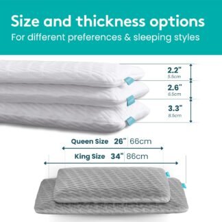 BLISSBURY Stomach Sleeping Pillow – Ultra Thin 2.6" Memory Foam for Neck and Cervical Support | Flat Pillow for Belly Sleeper | Low Loft Design for Comfort and Better Sleep