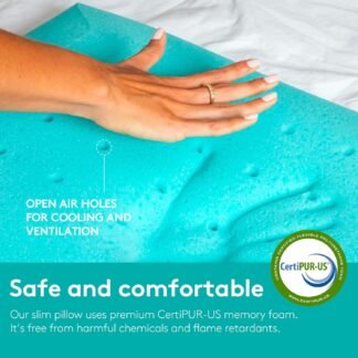 BLISSBURY Stomach Sleeping Pillow – Ultra Thin 2.6" Memory Foam for Neck and Cervical Support | Flat Pillow for Belly Sleeper | Low Loft Design for Comfort and Better Sleep