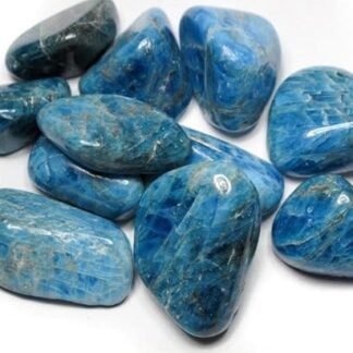 Blue Apatite Tumbled - Healing Stone - Crystal Healing 20-25mm