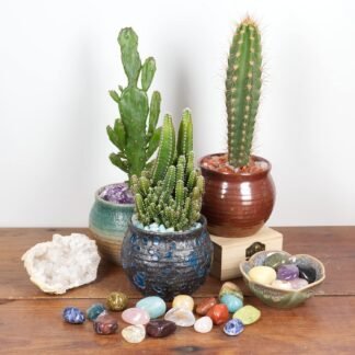 Cherry Tree Collection 1/2 Pound Polished Stones - 1/2" - 1" Size Tumbled Stones - Tumbled Crystals Bulk for Healing, Reiki, Chakra