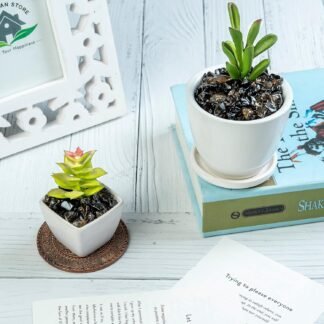 Crocon 1LB Crushed Smoky Quartz Chips Bulk Stone 2000+ Carats Natural Quartz Pieces Irregular Shape Gemstone Tumbling Cabbing Gem Mining Chakra Balancing Reiki and Crystal...