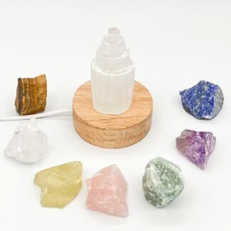 Erliway 2-3'' Amazonite Raw Crystals, Natural Rough Crystals and Healing Stones, Crystal Rocks and Gemstones for Tumbling Cabbing Fountain Rocks Decoration Wire Wrapping Reiki...