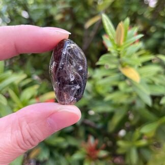 GAF TREASURES 1/2 LB Smoky Quartz Tumbled Stones, Polished Smoky Quartz Gemstone, Smoky Quartz Healing Crystals (Smoky Quartz)
