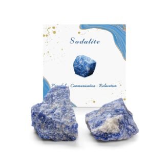 GolbalJew Moss Agate Natural Raw Crystals 2PCS Healing Crystal Stones 1.2-2.0” Reiki Healing Gemstones for Meditation Chakra Balance Home Decor