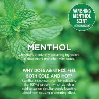 HealthWise 10.5% Menthol Pain Relief Spray | Cold Hot Sensation | 3 oz. 85 mL | Non-Greasy Formula | Immediate Penetrating Action | External Analgesic