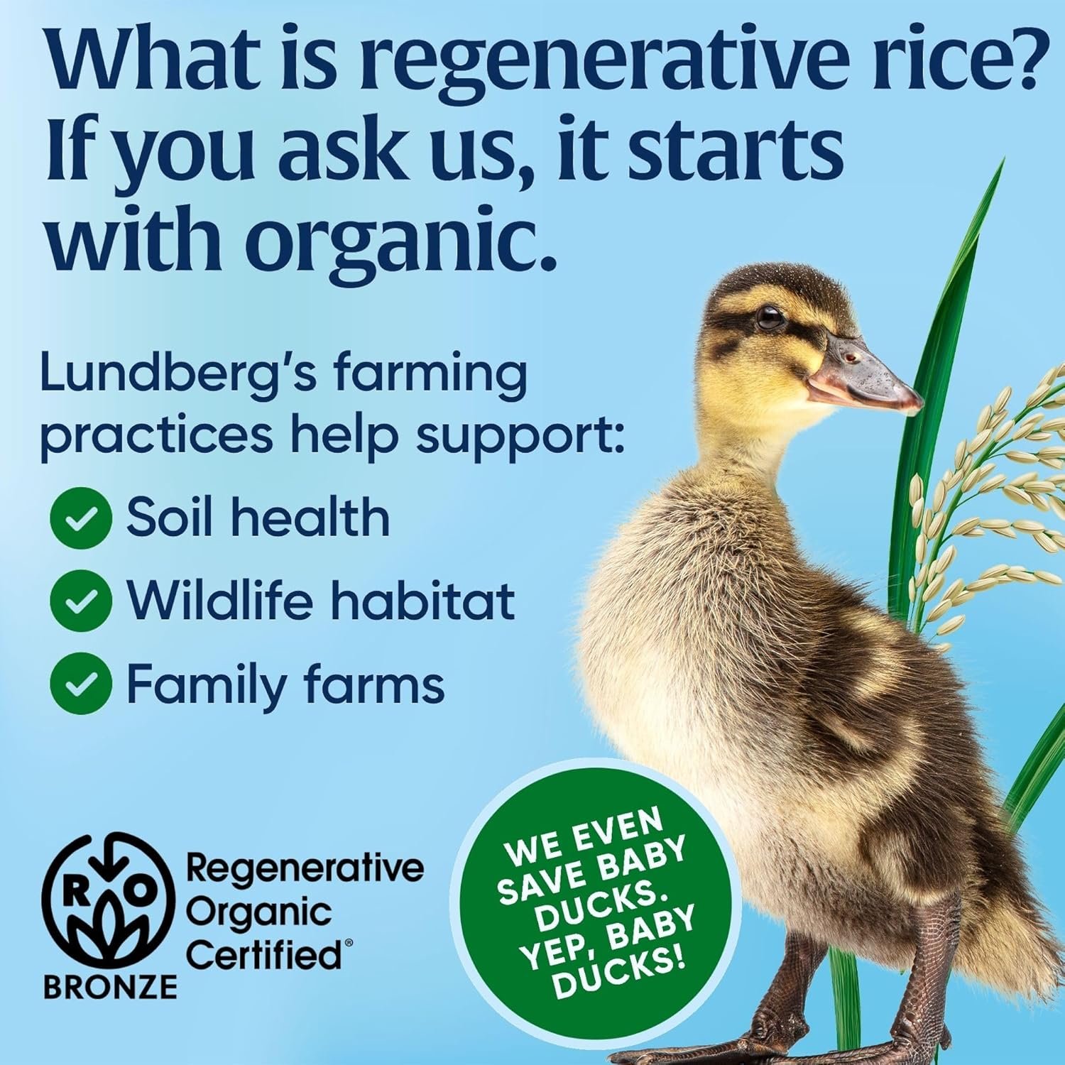 Lundberg Organic Chicken Herb Seasoned Rice - Regenerative Organic Certified Long Grain White Rice Seasoning Mix Gluten Free 55 Ounce - lunas-mystic-emporium.com Lundberg Organic Chicken & Herb Seasoned Rice - Regenerative Organic Certified Long Grain White Rice & Seasoning Mix, Gluten Free, 5.5 Ounce
