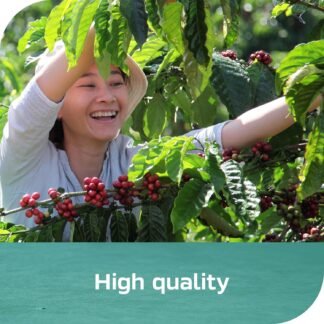 NESCAFE ESPRS Conc Vanilla 6x300ml US - lunas-mystic-emporium.com NESCAFE ESPRS Conc Vanilla 6x300ml US