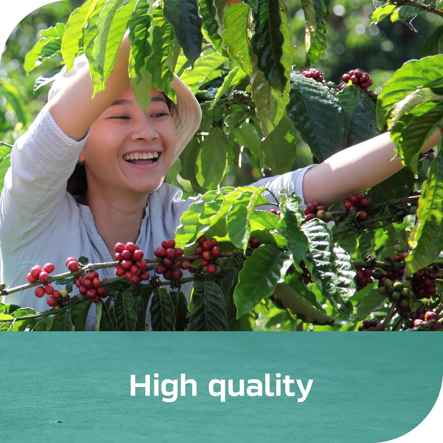 NESCAFE ESPRS Conc Vanilla 6x300ml US - lunas-mystic-emporium.com NESCAFE ESPRS Conc Vanilla 6x300ml US