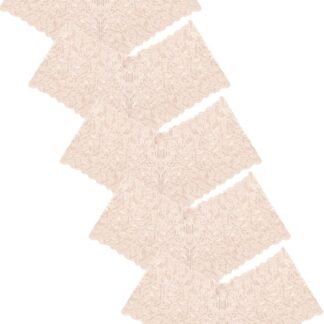 Sexy Women's Underwear Lace Shorts V Waist Breathable Cheeky Panties Boyshorts Underwear Women 5 Pack