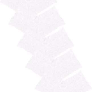 Sexy Women's Underwear Lace Shorts V Waist Breathable Cheeky Panties Boyshorts Underwear Women 5 Pack